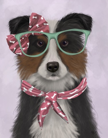 Border Collie, Tricolour, with Glasses and Scarf