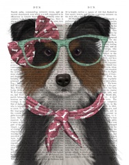 Border Collie, Tricolour, with Glasses and Scarf