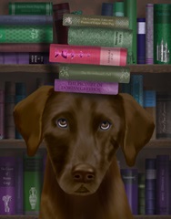 Brown Labrador and Books