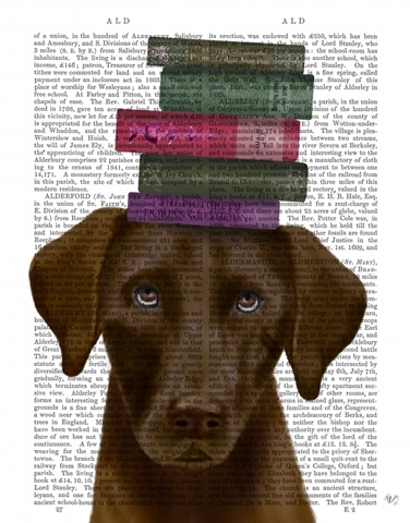 Brown Labrador and Books