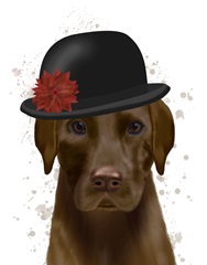 Chocolate Labrador and Bowler