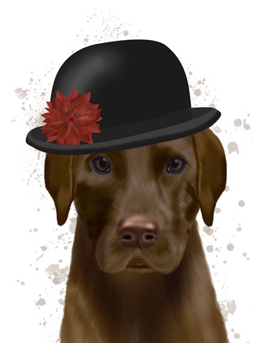 Chocolate Labrador and Bowler