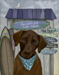 Chocolate Labrador Surf Shack