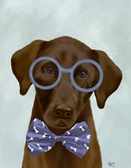Chocolate Labrador with Glasses and Bow Tie