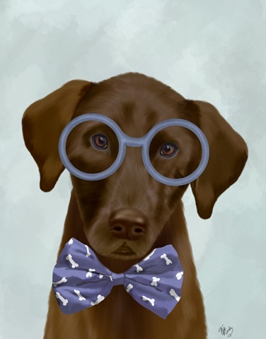 Chocolate Labrador with Glasses and Bow Tie