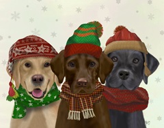 Christmas 3 Winter Labs