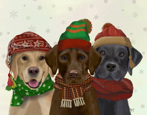 Christmas 3 Winter Labs