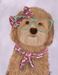 Cockerpoo, Apricot, with Glasses and Scarf