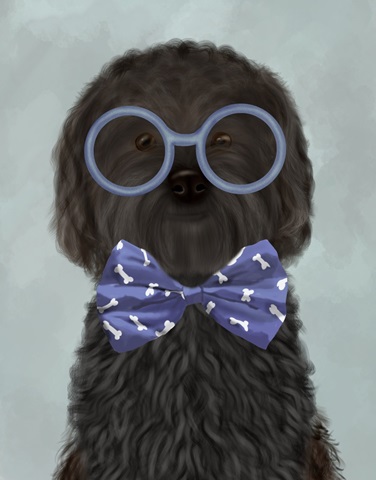 Cockerpoo, Black, with Glasses and Bow Tie