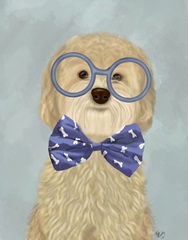 Cockerpoo, Blonde, with Glasses and Bow Tie