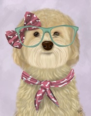 Cockerpoo, Blonde, with Glasses and Scarf