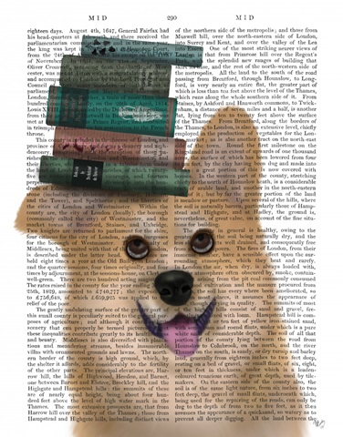 Corgi and Books