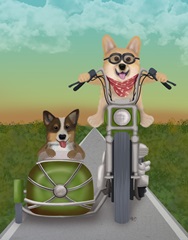 Corgi Chopper and Sidecar