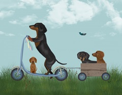 Dachshund Scooter