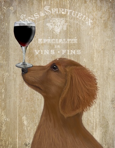 Dog Au Vin, Dachshund Gold