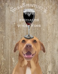 Dog Au Vin, Pit Bull