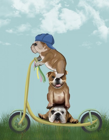 English Bulldog Scooter