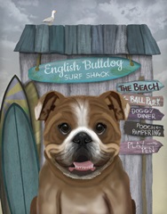 English Bulldog Surf Shack