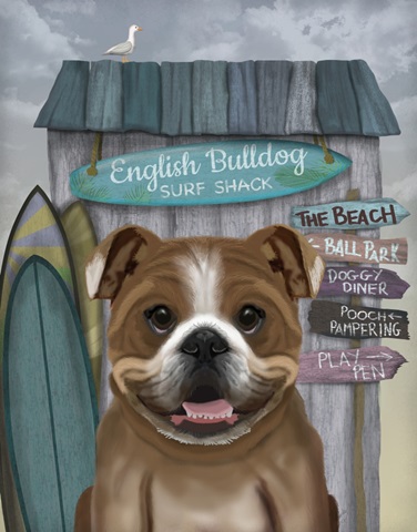 English Bulldog Surf Shack