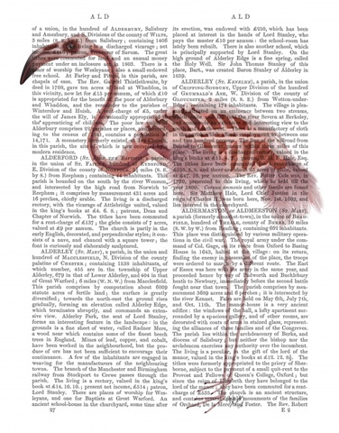 Flamingo Skeleton