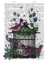 Flower Birdcage 2