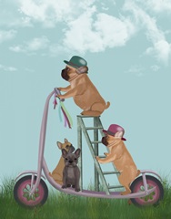 French Bulldog Scooter