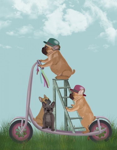 French Bulldog Scooter