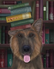 German Shepherd and Books