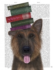 German Shepherd and Books