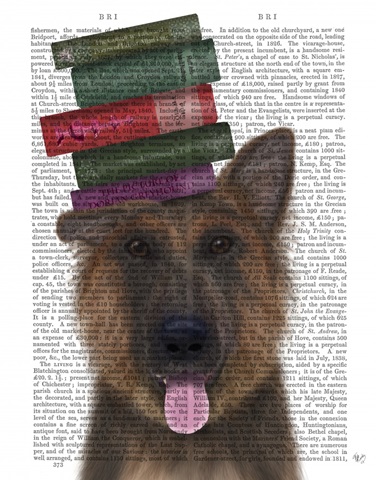 German Shepherd and Books