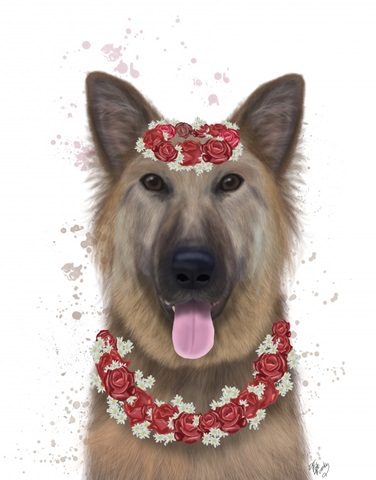 German Shepherd Edelweiss