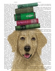 Golden Retriever and Books