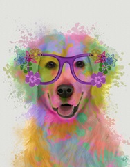 Golden Retriever Rainbow Splash