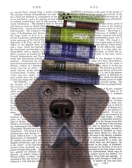 Great Dane and Books