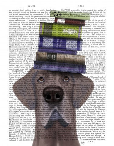 Great Dane and Books