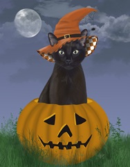 Halloween Black Cat in Pumpkin