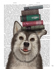 Husky and Books