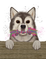 Husky and Rope Bone