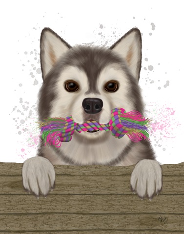 Husky and Rope Bone