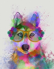 Husky Rainbow Splash