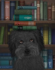 Labradoodle, Black, and Books