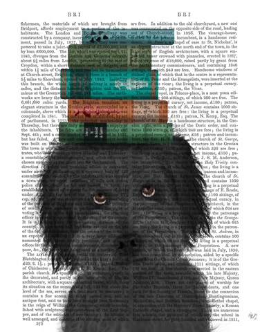 Labradoodle, Black, and Books