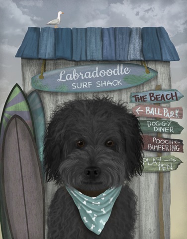 Labradoodle, Black, Surf Shack
