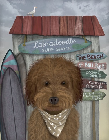 Labradoodle, Brown, Surf Shack