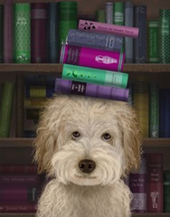 Labradoodle, Cream, and Books
