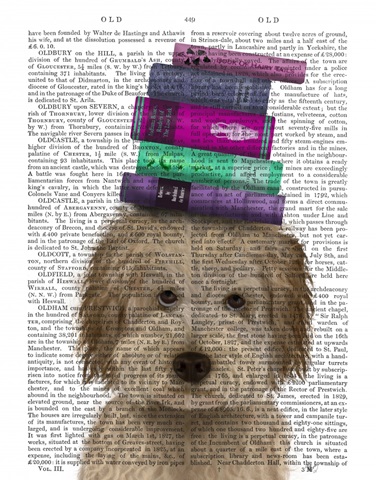 Labradoodle, Cream, and Books
