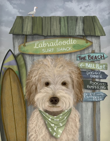 Labradoodle, Cream, Surf Shack