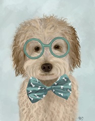 Labradoodle, Cream, with Glasses and Bow Tie
