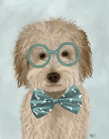 Labradoodle, Cream, with Glasses and Bow Tie