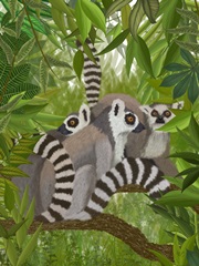 Lemur Family in Canopy
